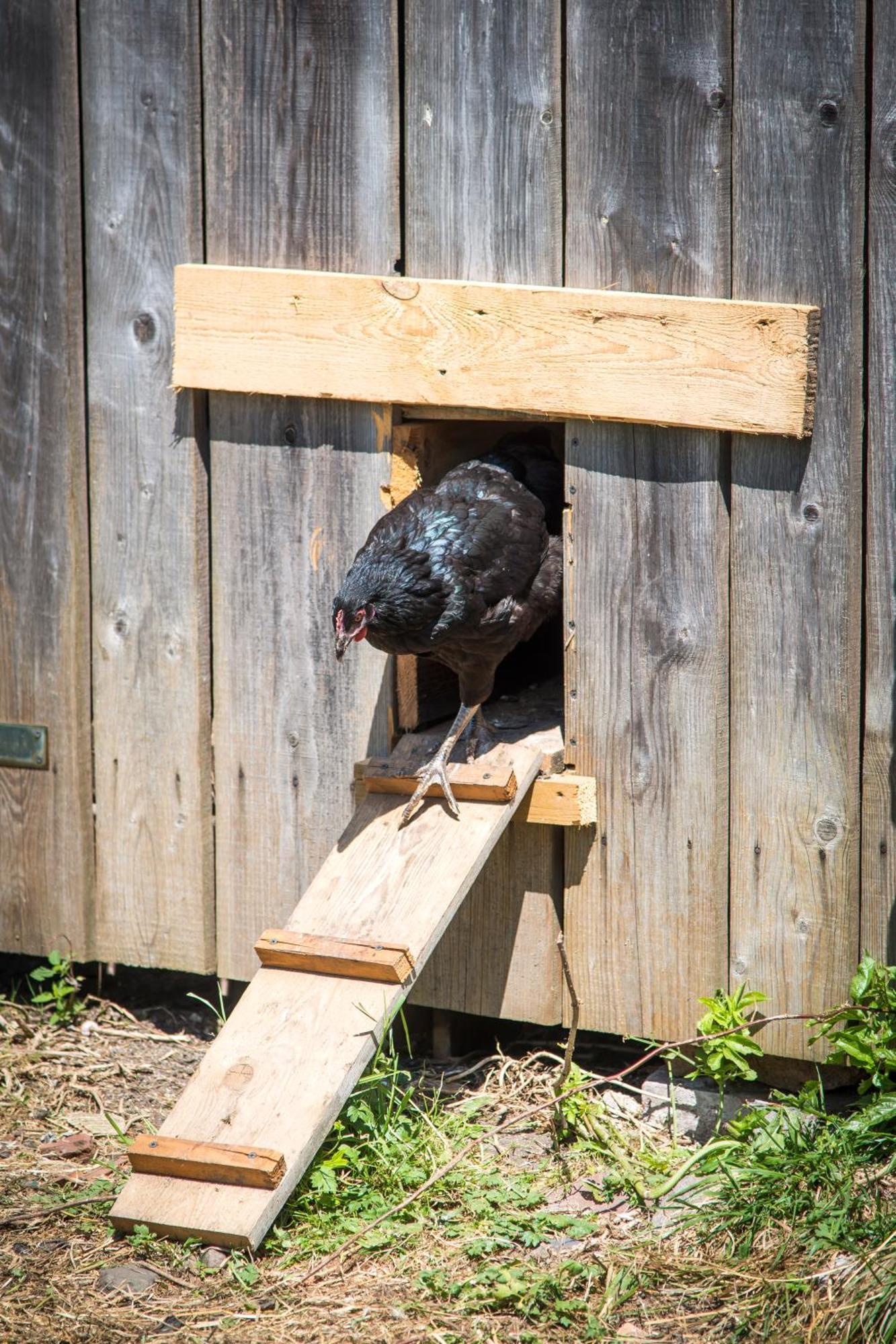Agroturystyka "Pograniczna" Ober Wüstegiersdorf エクステリア 写真